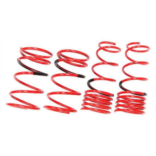 Tanabe® - DF210 Series 1.6" x 1.5" Front and Rear Lowering Coil Spring Kit 
