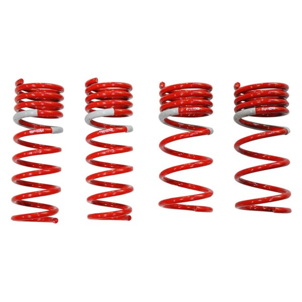Tanabe® - NF210 Series Lowering Coil Springs