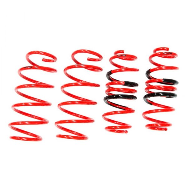 Tanabe® - 1.3" x 1" NF210 Series Front and Rear Lowering Coil Springs 