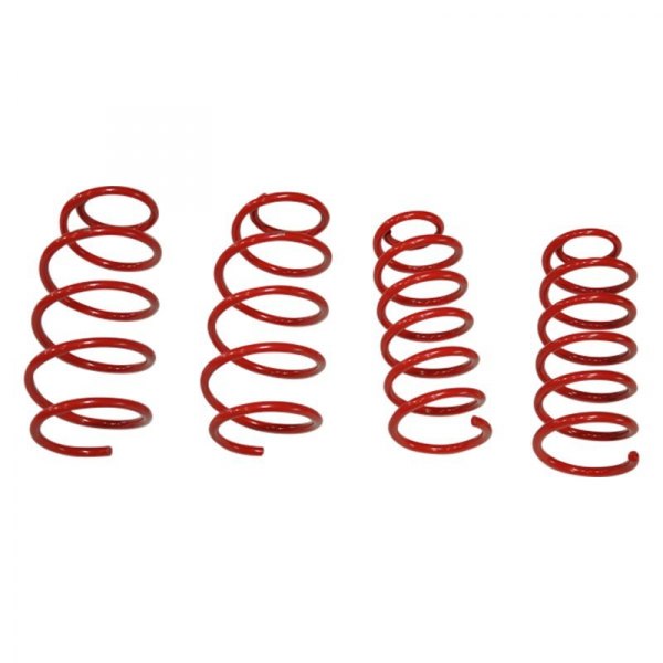 Tanabe® - 1" x 1" NF210 Series Front and Rear Lowering Coil Springs 