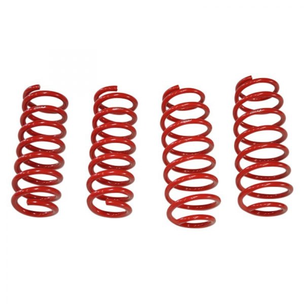 Tanabe® - 1.1" x 0.8" NF210 Series Front and Rear Lowering Coil Springs 