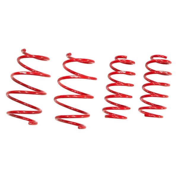 Tanabe® - 0.7" x 1.1" NF210 Series Front and Rear Lowering Coil Springs 
