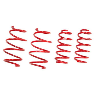 Tanabe® - 0.7" x 1.1" NF210 Series Front and Rear Lowering Coil Springs