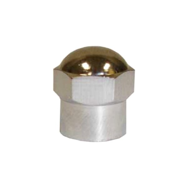 The Main Resource® - Chromed Plastic Hex Caps for TPMS Application