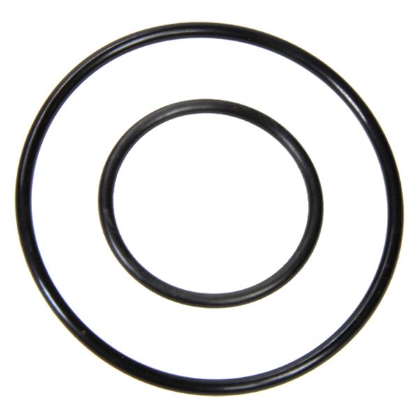 Ti22 Performance® - Fuel Filter O-Ring
