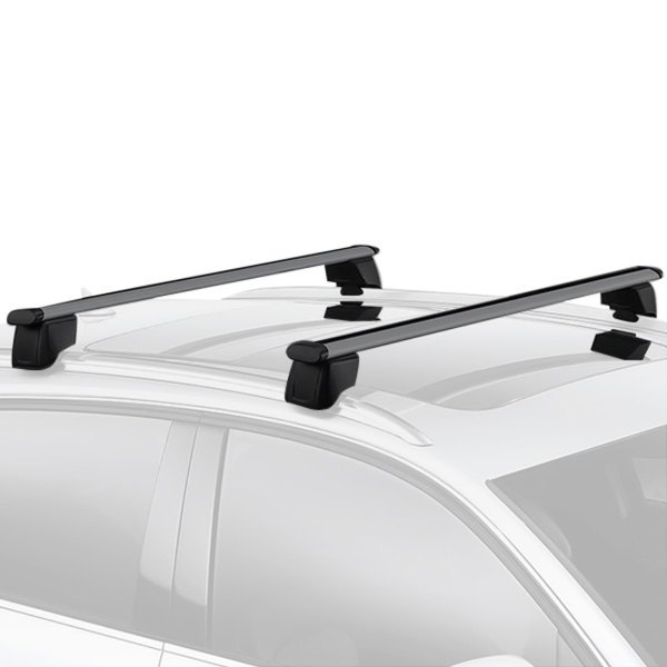 Torxe™ - 48" Silver Roof Rack System