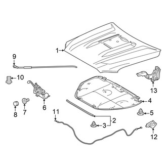 Toyota OE - Hood & Components (With Scoop)