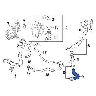 Toyota OE - Left Radiator Coolant Hose