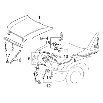 Toyota OE - Hood & Components