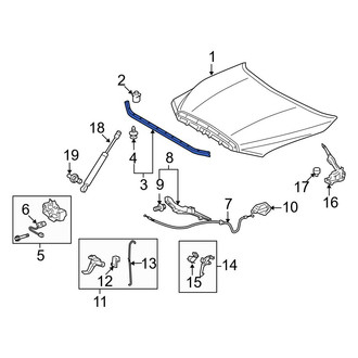 Toyota OE - Front Hood Seal