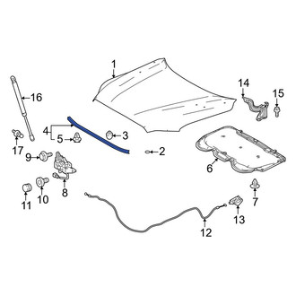 Toyota OE - Front Hood Seal