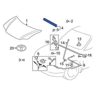 Toyota OE - Front Hood Seal