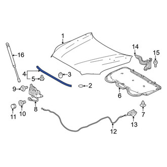 Toyota OE - Front Hood Seal