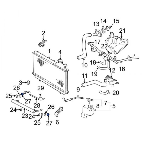 Automatic Transmission Oil Cooler Nut