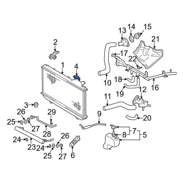 Radiator Cap