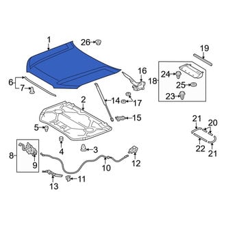 Toyota OE - Front Hood Panel