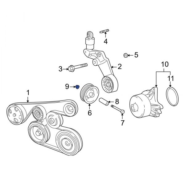 Accessory Drive Belt Idler Pulley Nut