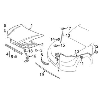 Toyota OE - Hood - Exterior Trim