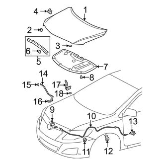 Toyota OE - Hood & Components