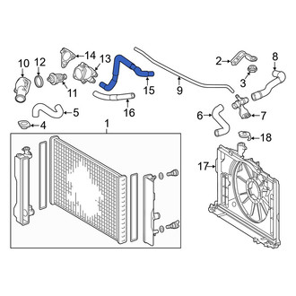 Toyota OE - Lower Radiator Coolant Hose