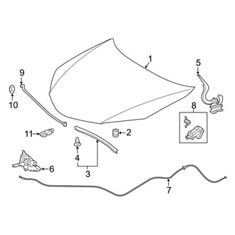 Toyota OE - Hood & Components