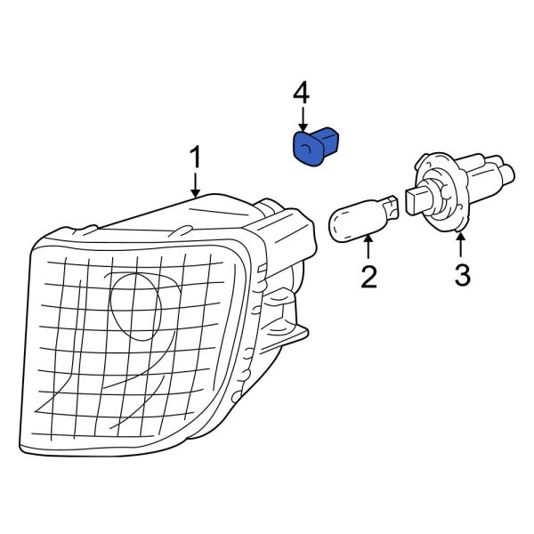 Turn Signal Light Assembly Screw