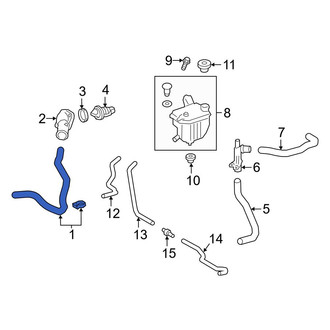 Toyota OE - Left Radiator Coolant Hose