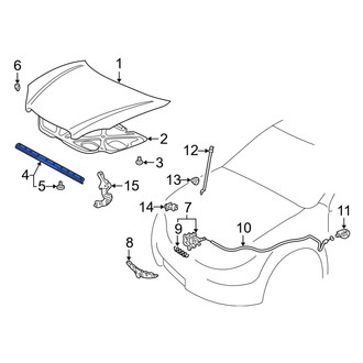 Toyota OE - Front Hood Seal
