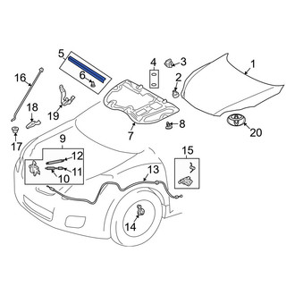Toyota OE - Front Hood Seal