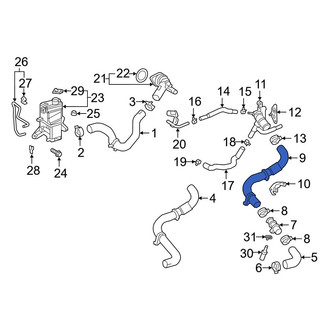 Toyota OE - Right Radiator Coolant Hose