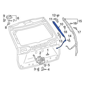 Toyota OE - Right Liftgate Lift Support