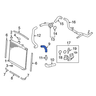 Toyota OE - Lower Radiator Coolant Hose