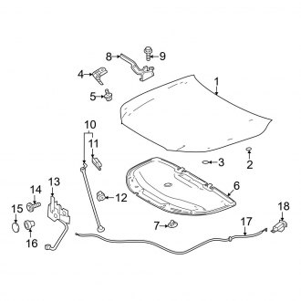 2025 Toyota Grand Highlander OEM Body Hoods — CARiD.com