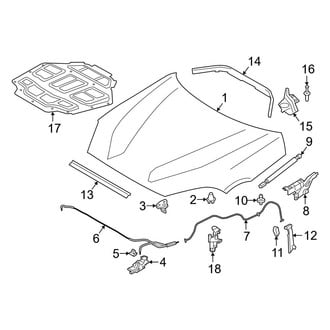 Toyota OE - Hood & Components