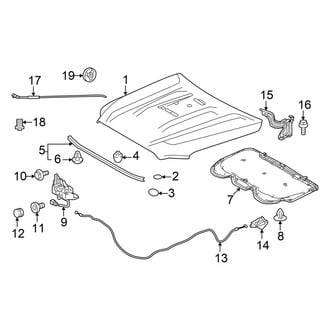 Toyota OE - Hood & Components (With Scoop), (TRD Pro / TRD Sport)