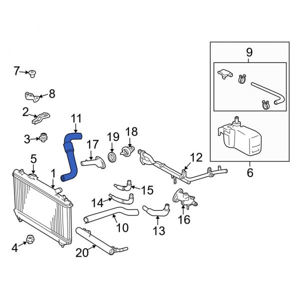 Radiator Coolant Hose