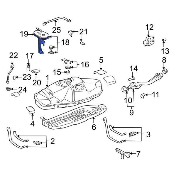 Fuel Pump Tank Seal