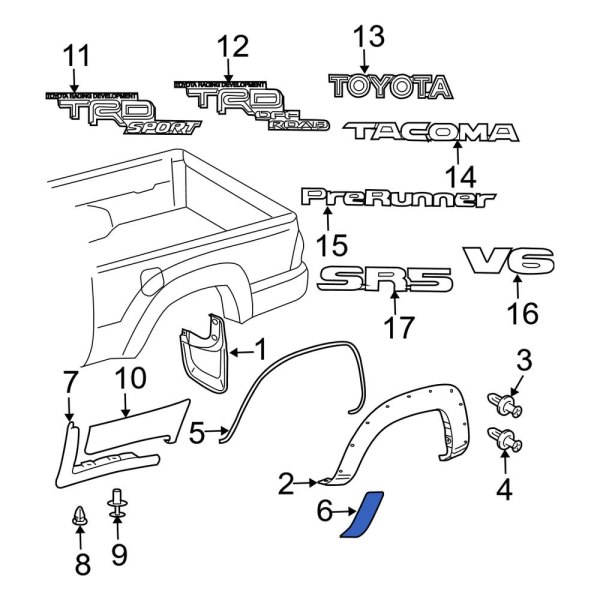 Side Body Trim Protector