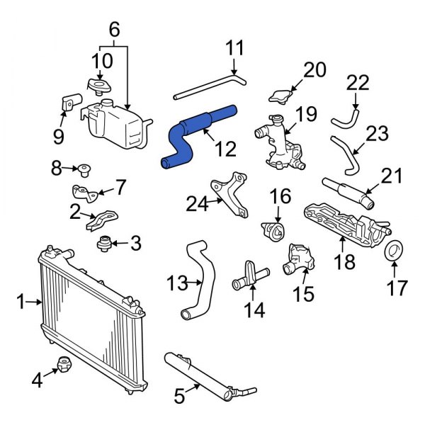 Radiator Coolant Hose