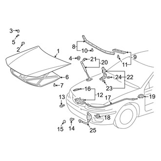 Toyota OE - Hood & Components