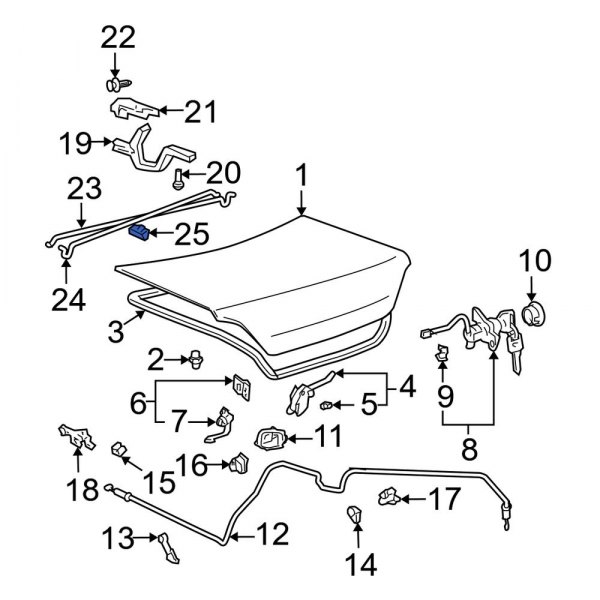 Trunk Torque Rod Clip