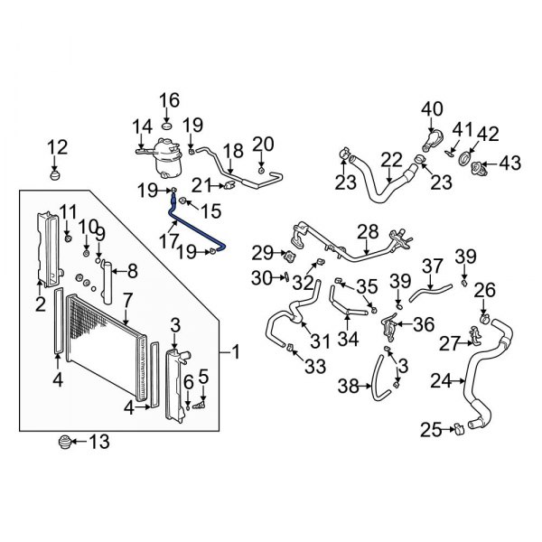 Engine Coolant Overflow Hose