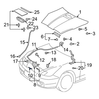 Toyota OE - Front Hood Pop Up Spring