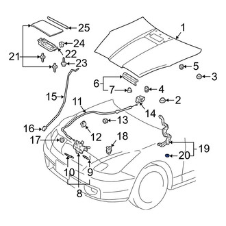 Toyota OE - Hood Hinge Spacer