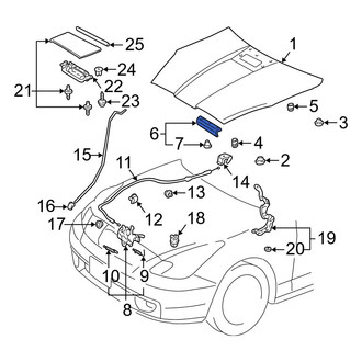 Toyota OE - Front Hood Seal