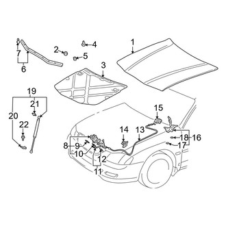 Toyota OE - Hood & Components