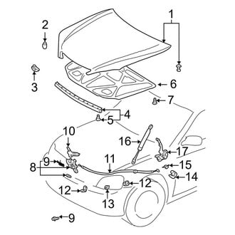 Toyota OE - Hood & Grille - Hood & Components
