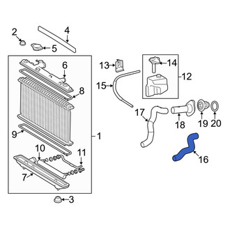 Toyota OE - Upper Radiator Coolant Hose