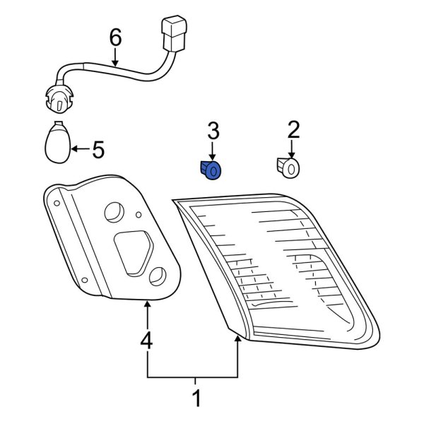 Back Up Light Assembly Nut