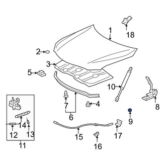 Toyota OE - Right Hood Lift Support